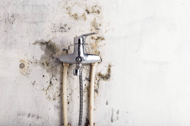 Office Mold Removal Services in Lompoc, CA