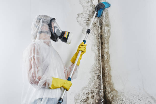 Best Mold Testing  in Lompoc, CA