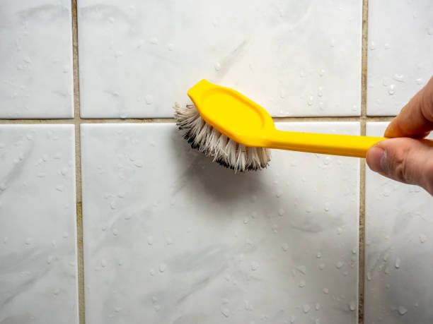 Best Mold Removal Company Near Me  in Lompoc, CA
